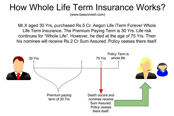 Aegon Life iTerm Forever Whole Life Term Insurance