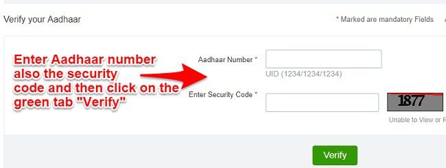 verify Aadhaar status online